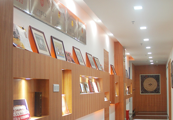 做為國產(chǎn)工業(yè)內(nèi)窺鏡設(shè)備老品牌廠家，深圳亞泰光電深耕工業(yè)內(nèi)窺鏡、工業(yè)管道內(nèi)窺鏡、工業(yè)視頻內(nèi)窺鏡等20余載，自主研發(fā)生產(chǎn)內(nèi)窺鏡產(chǎn)品具有多項發(fā)明專利，內(nèi)窺鏡廠家直銷，價格優(yōu)惠。